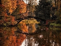 Kaczki, Jesień, Rzeka, Most