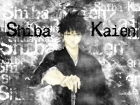 kaien, Bleach, shiba, postać