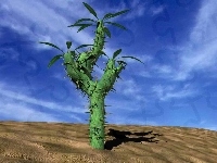 Kaktus, Wielki, Na pustkowiu