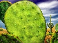 Kaktus, Pustynia