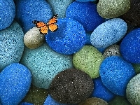 Kamienie, Szare, Motyl, Niebieskie , Brązowe, Pomarańczowy
