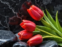 Tulipany, Kamienie, Czerwone, Marmurowe, Tło