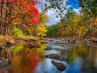 Drzewa, Rzeka, Jesień, Kamienie
