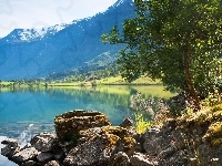 Kamienie, Jezioro, Góry, Drzewa