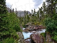 Kamienie, Las, Góry, Wodospad