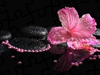 Różowy, Kamienie, Hibiskus, SPA, Perły