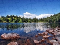 Jezioro, Kamienie, Las