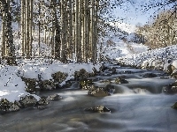 Kamienie, Rzeka, Las, Śnieg
