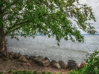 Kamienie, Drzewo, Morze, HDR