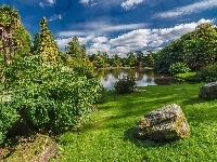 Kamienie, Jezioro, Park, Jesień