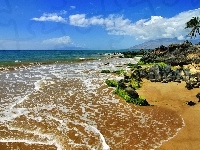 Kamienie, Morze, Plaża, Tropik