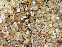 Kamienie, Plaża