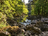 Potok, Drzewa, Rzeka, Kamienie