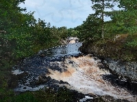 Kamienie, Rzeka, Wodospad, Drzewa