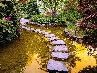 Kamienne, Rododendron, Ogród, Woda, Przejście