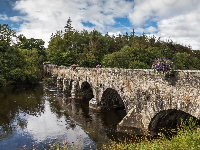 Las, Drzewa, Rzeka, Hrabstwo Kerry, Wieś Beaufort, Most kamienny Beaufort Bridge, Irlandia, Rzeka Laune