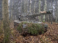 Kamuflaż, Las, Czołg