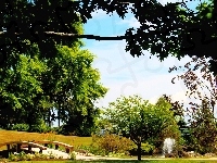 Miejski, Kanada, Oakville, Mostek, Fontanna, Park, Drzewa, Ontario