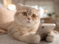 Komórka, Kot, Beżowy, Kanapa, Grafika AI, Telefon