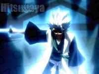 Kapitan, Hitsugaya