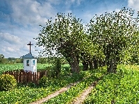 Kapliczka, Polska, Droga, Wierzby, Pola