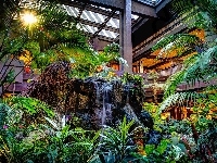 Kaskada, Ogród, Botaniczny, Palmy
