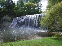 Wodna, Kaskada, Drzewa
