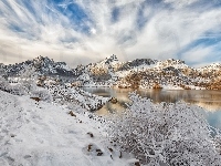 Kastylia i León, Śnieg, Krzewy, Jezioro Embalse de Riaño, Góry, Hiszpania, Zima, Drzewa