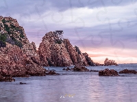 Katalonia, Hiszpania, Drzewa, Morze, Wybrzeże, Skały, Wschód słońca, Costa Brava