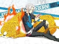 Katekyo Hitman Reborn, Gokudera