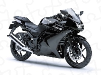 Kawasaki Ninja 250R, Czarne, Opony