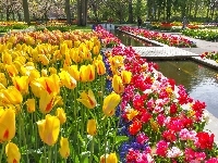 Keukenhof, Tulipany, Holandia, Wiosna, Park, Lisse