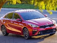 Kia Forte, Czerwona, 2019