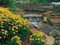 Kirtland, Arboretum, Kwiaty, Ohio, Holden