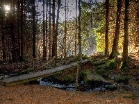 Kładka, Potok, Słońca, Las, Kamienie, Promienie
