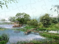 Kładki, Drzewa, Park, Jezioro, Ptaki