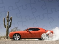 Kłęby, Dodge Challenger, Kaktus, Dymu