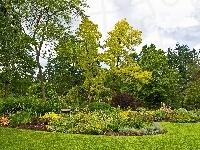 Klomby, Ławka, Park, Drzewa, Kwiaty