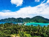 Plaża, Wyspa Ko Phi Phi Don, Roślinność, Tajlandia, Morze Andamańskie, Palmy