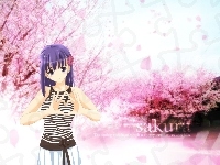 kobieta, Fate Stay Night, drzewa, napis