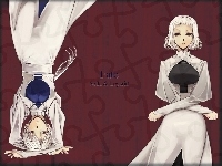 kobiety, Fate Stay Night, napis, suknie