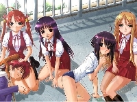 kobiety, Mahou Sensei Negima, balkon