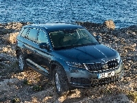 Skoda Kodiaq, 2017