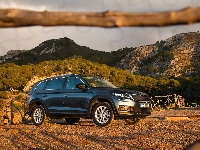 Wzgórza, 2017, Skoda Kodiaq