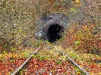 Krzewy, Barierki, Tory kolejowe, Liście, Tunel, Drzewa