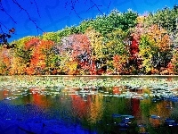 Jesień, Kolorowa, Jezioro
