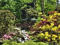 Kolorowe, Park, Altana, Rododendrony