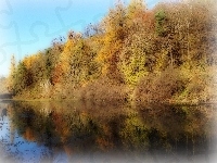 Kolorowe, Odbicie, Jezioro, Jesień, Drzewa
