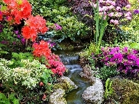 Kolorowe, Azalie, Ogród, Kaskada, Rododendrony