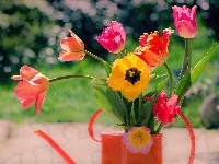 Kwiaty, Kolorowe, Tulipany